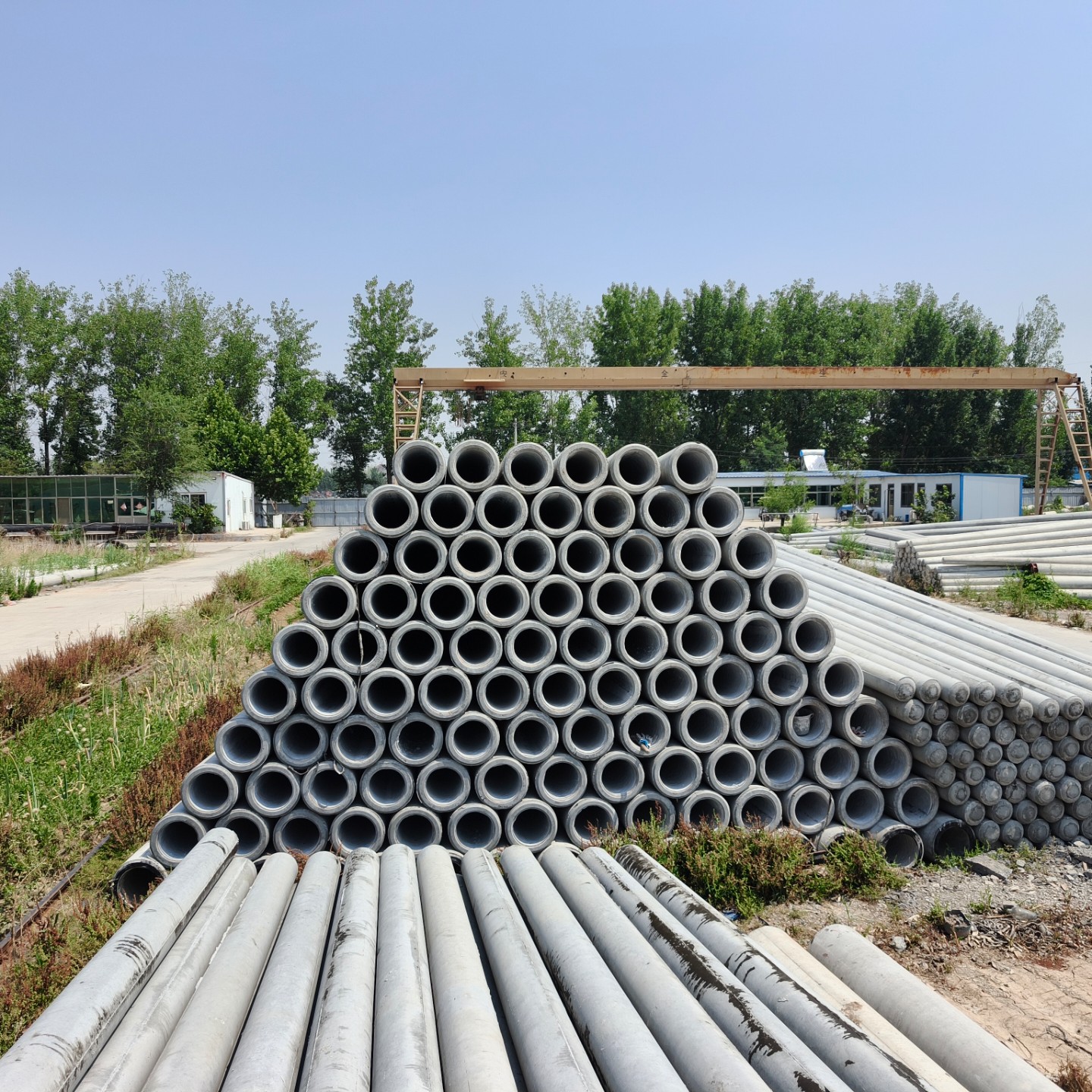 奉贤190×10米水泥电线杆